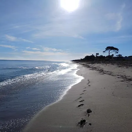 Les Pivoines Tatil Evi *