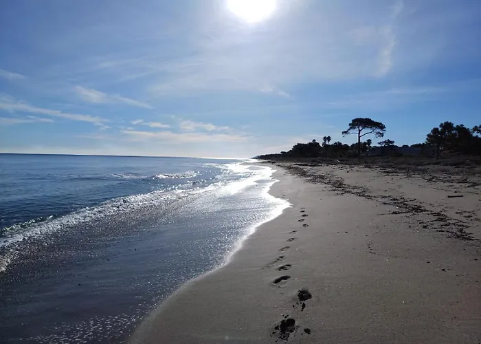 Les Pivoines בית נופש *