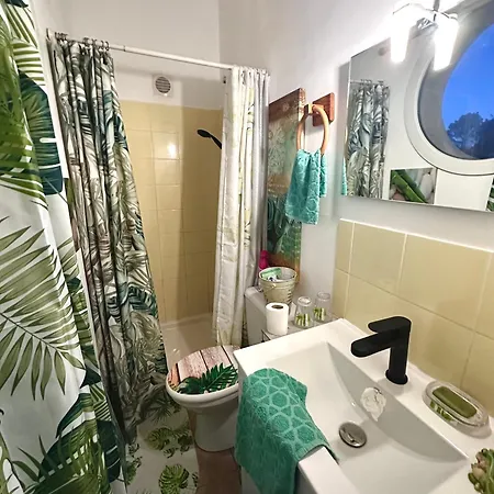 Les Pivoines * Borgo (Corsica)